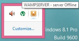 Wamp server offline